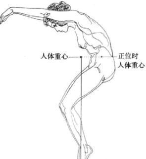 原畫基礎之人體運動結構詳解