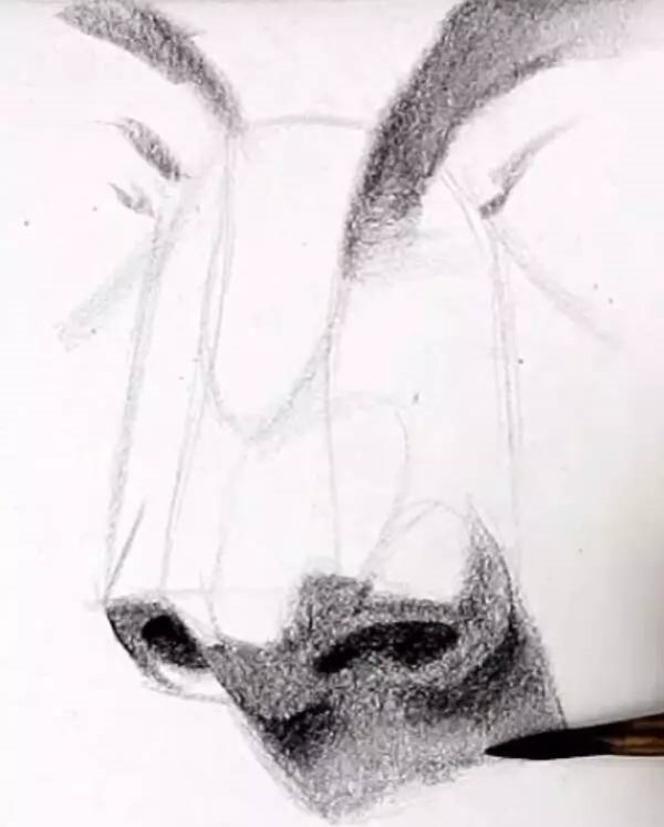 簡單的鼻子畫法