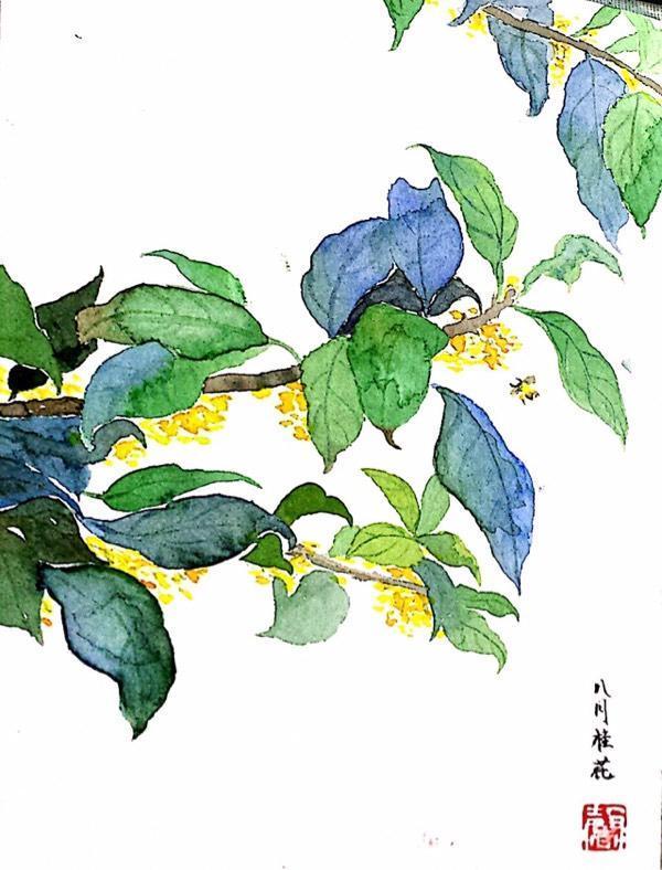 零基礎當然也能學水彩（超詳細）