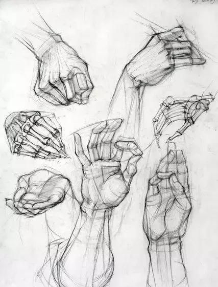 知道這些零基礎也可以畫插畫