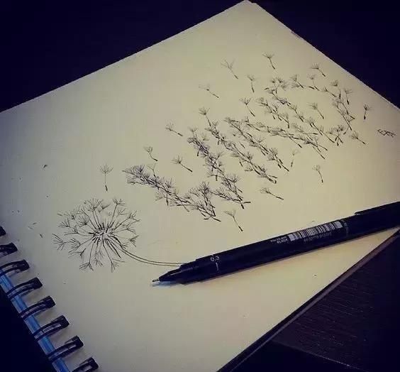 知道這些零基礎也可以畫插畫