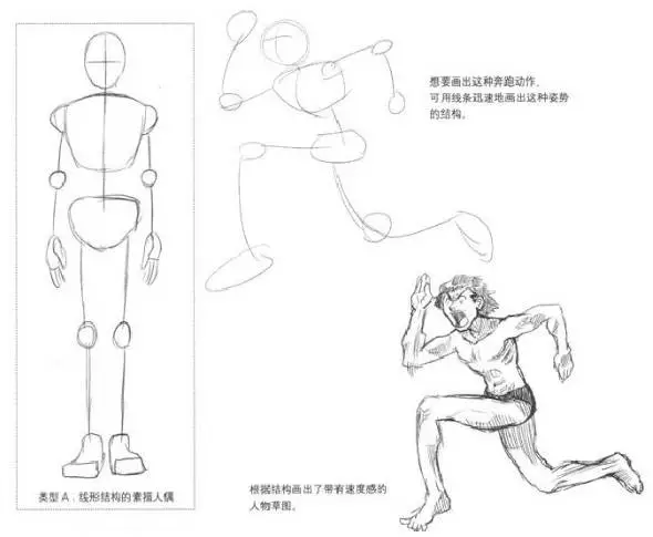 漫畫入門之初學漫畫人物結構圖