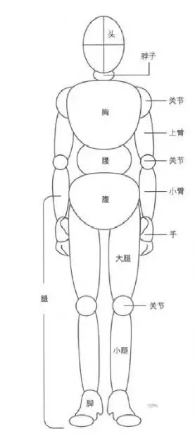 漫畫入門之初學漫畫人物結構圖
