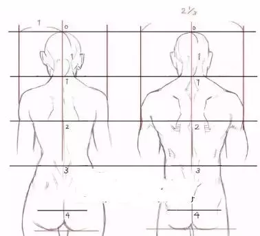 原畫基礎人物男性與女性背部的差異